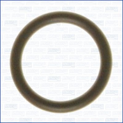 Garnitura termostat AJUSA 16015500
