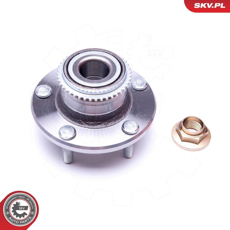 Set rulment roata ESEN SKV 29SKV219