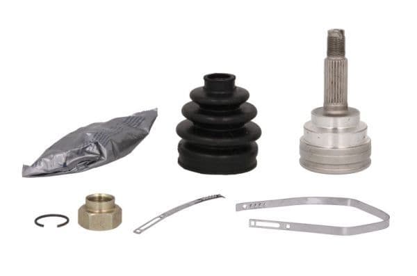 Set articulatie, planetara PASCAL G10341PC