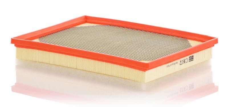 Filtru aer MANN-FILTER C 36 172