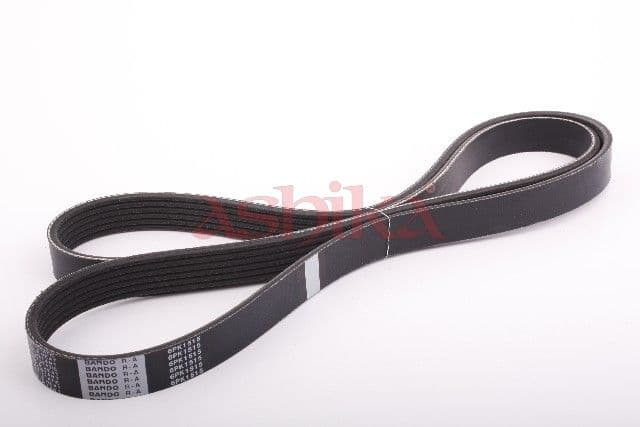 Curea transmisie cu caneluri ASHIKA 112-6PK1515