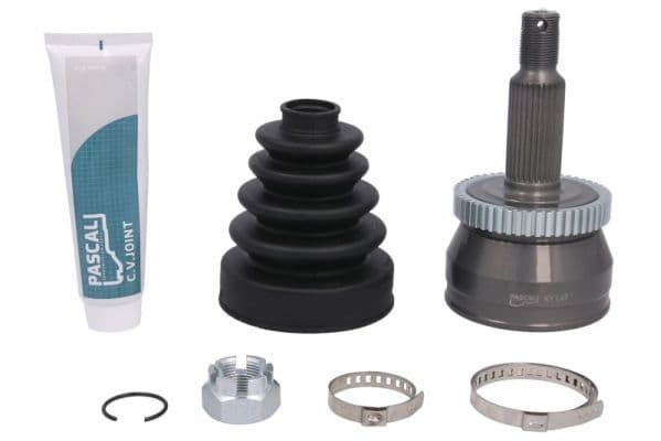 Set articulatie, planetara PASCAL G10542PC