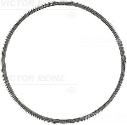 Garnitura, galerie evacuare REINZ 71-37213-00