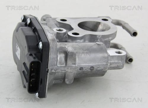 Supapa EGR TRISCAN 8813 13021