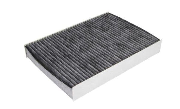 Filtru, aer habitaclu MTR 12902994