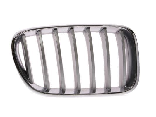 Grila radiator BLIC 6502-07-0093998P
