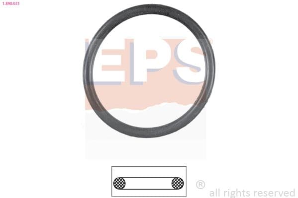 Garnitura termostat EPS 1.890.551