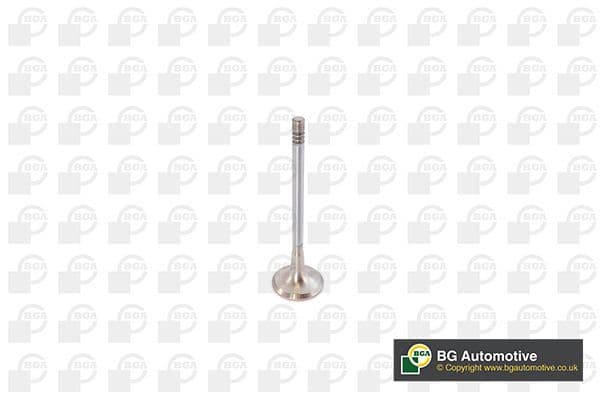 Supapa evacuare BGA V142050