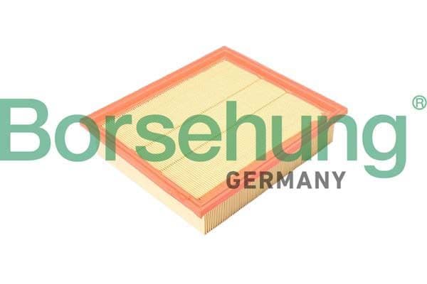 Filtru aer BORSEHUNG B12365