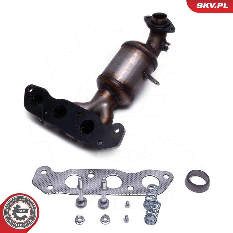 Catalizator ESEN SKV 62SKV018