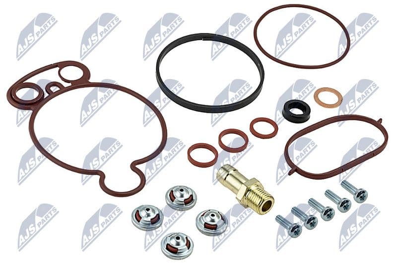 Set reparatie, pompa vacuum (Siste frana) NTY PVP-WW-005