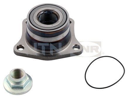 Set rulment roata SNR R169.39