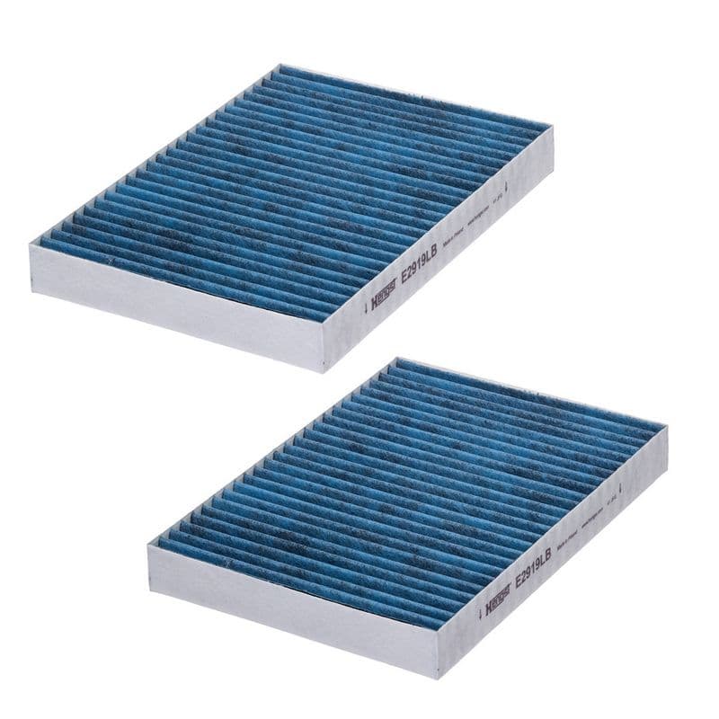Filtru, aer habitaclu HENGST FILTER E2919LB-2