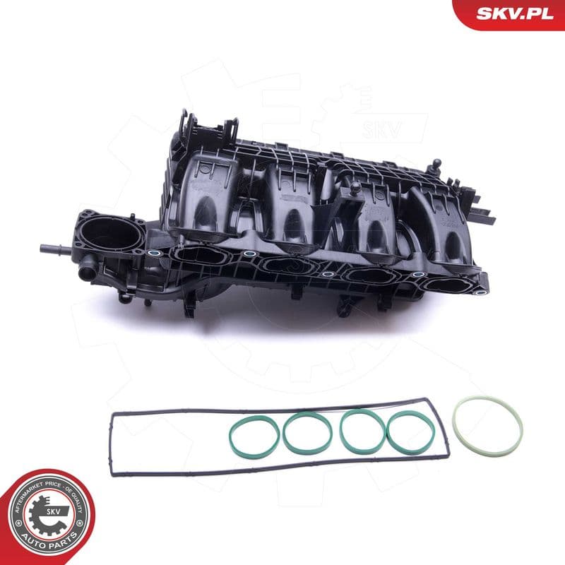 Modul conducta admisie ESEN SKV 49SKV026