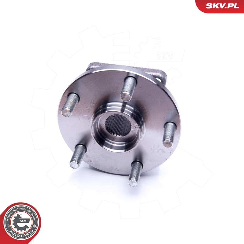 Set rulment roata ESEN SKV 29SKV248