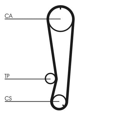 Curea de distributie CONTINENTAL CTAM CT569