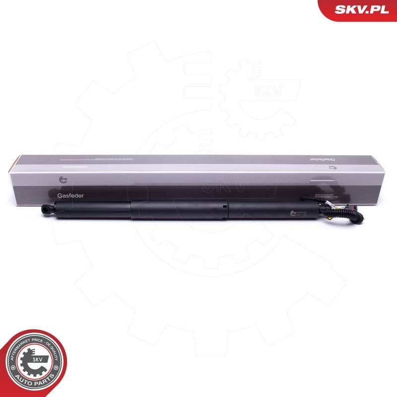 Motor electric, haion ESEN SKV 52SKV901