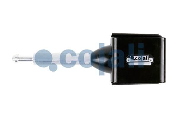 Sistem suspensie, pneumatic COJALI 6002219