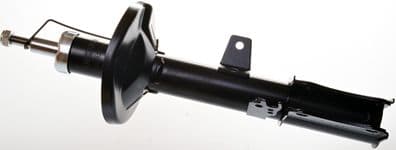 amortizor DENCKERMANN DSB252G