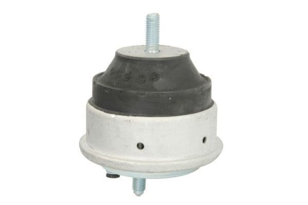 Suport motor REINHOCH RH11-3013