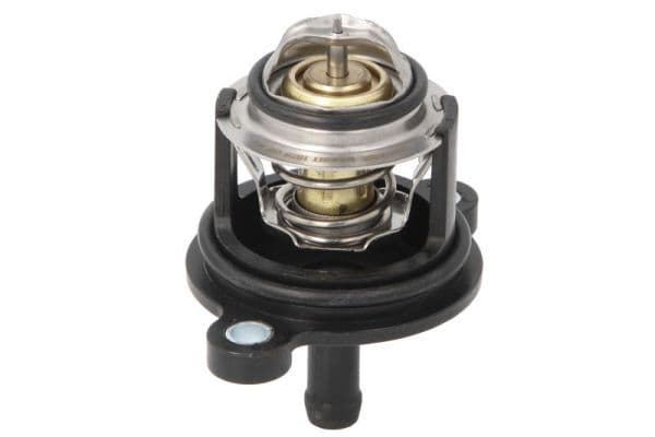 termostat,lichid racire THERMOTEC D2G020TT