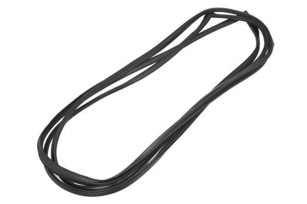 Garnitura, parbriz BLIC 5703-04-6038014Q