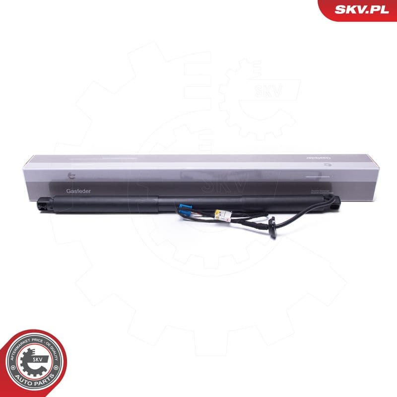 Motor electric, haion ESEN SKV 52SKV958