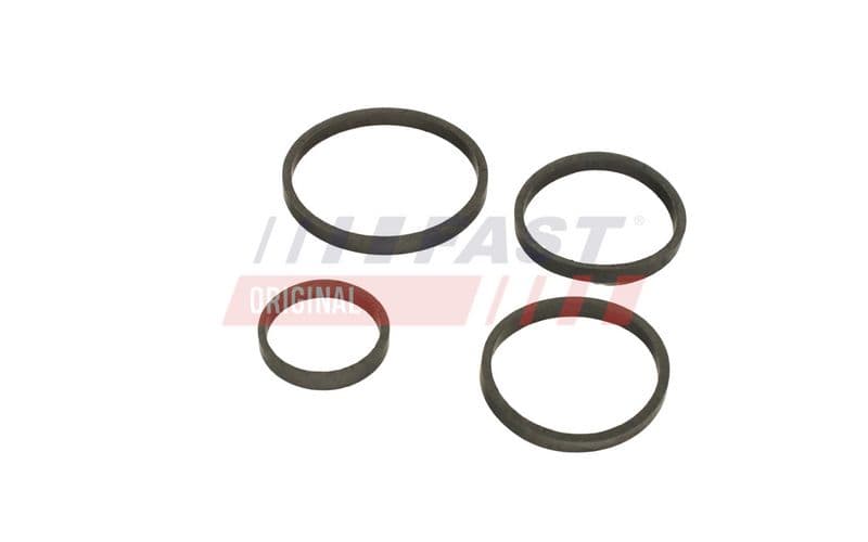 Inel de etanșare, radiator ulei (lubrifiere) FAST FT48949