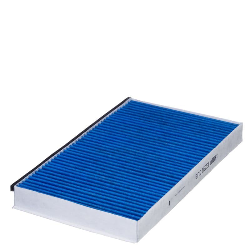 Filtru, aer habitaclu HENGST FILTER E2913LB