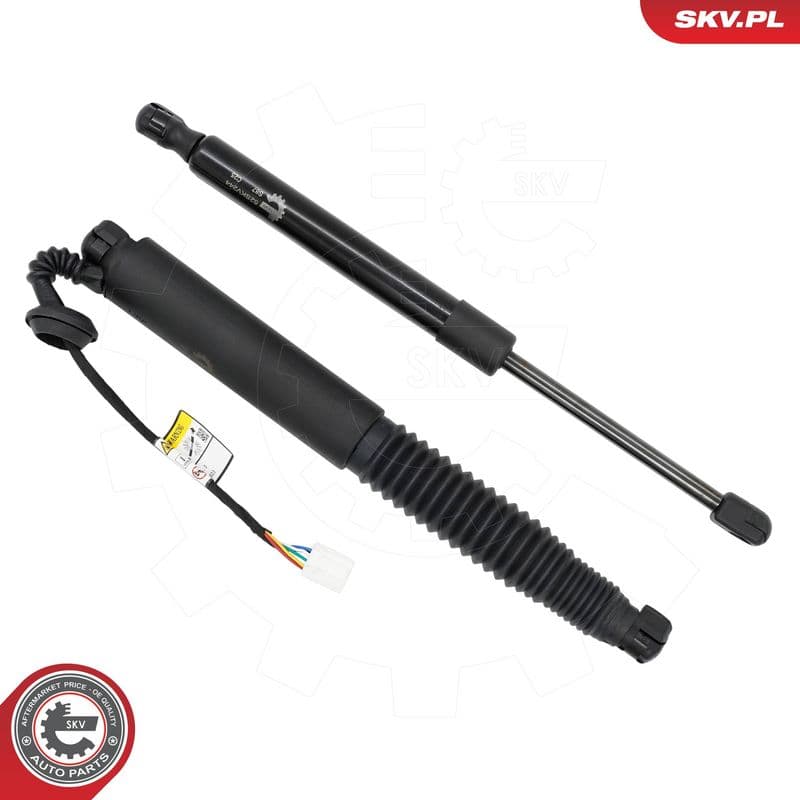 Motor electric, haion ESEN SKV 52SKV244