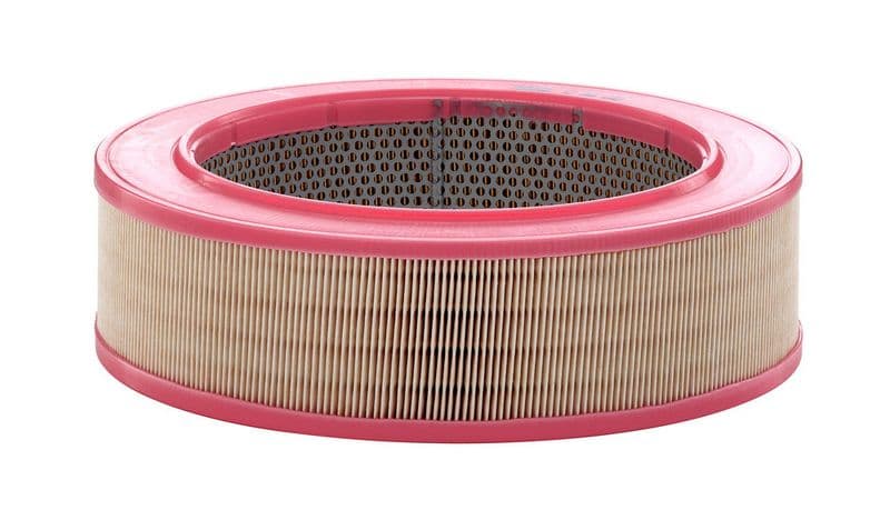 Filtru aer MANN-FILTER C 30 010