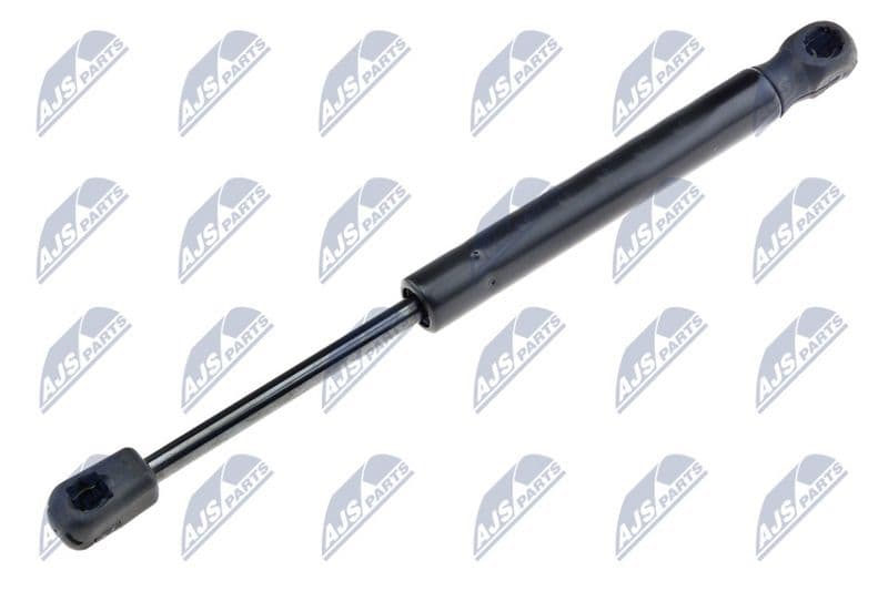 Amortizor portbagaj NTY AE-FR-017