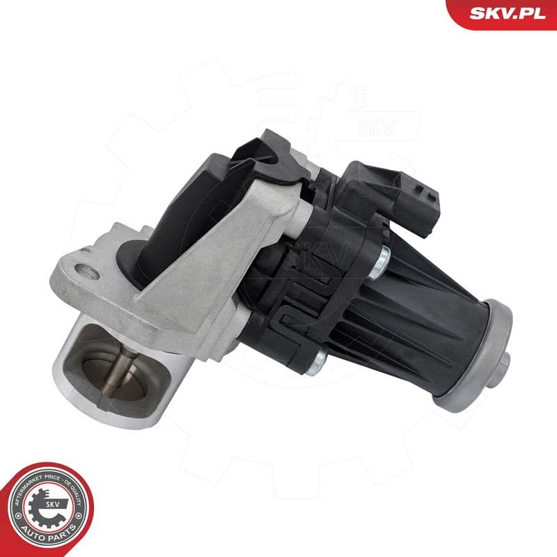 Supapa EGR ESEN SKV 14SKV318