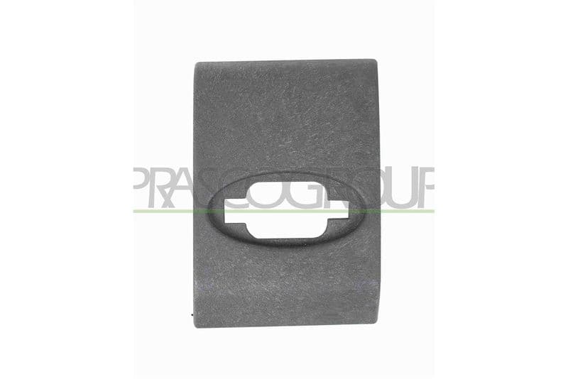Elemente decorative/protectie, portiera PRASCO OP9541425