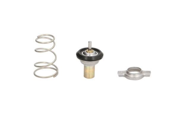 termostat,lichid racire THERMOTEC D2F002TT