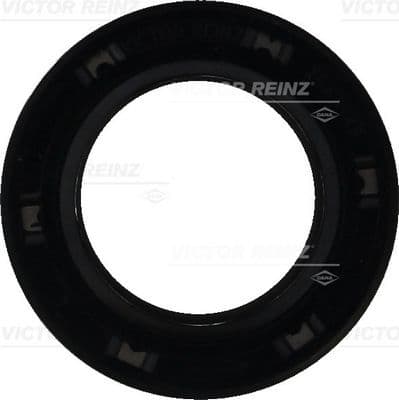 Simering, ax cu came VICTOR REINZ 81-42734-00