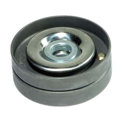 rola intinzator,curea transmisie MTR 12164798