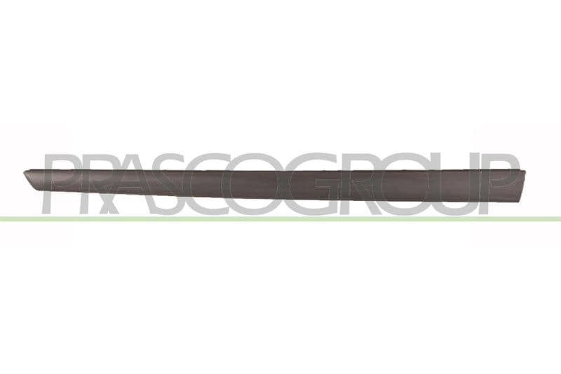 Elemente decorative/protectie, portiera PRASCO FD3421404