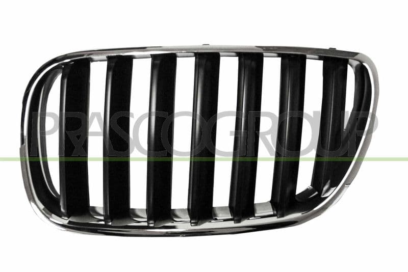 Grila radiator PRASCO BM8032004