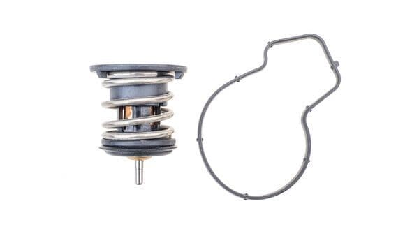 termostat,lichid racire MAHLE BEHR TX 254 80D