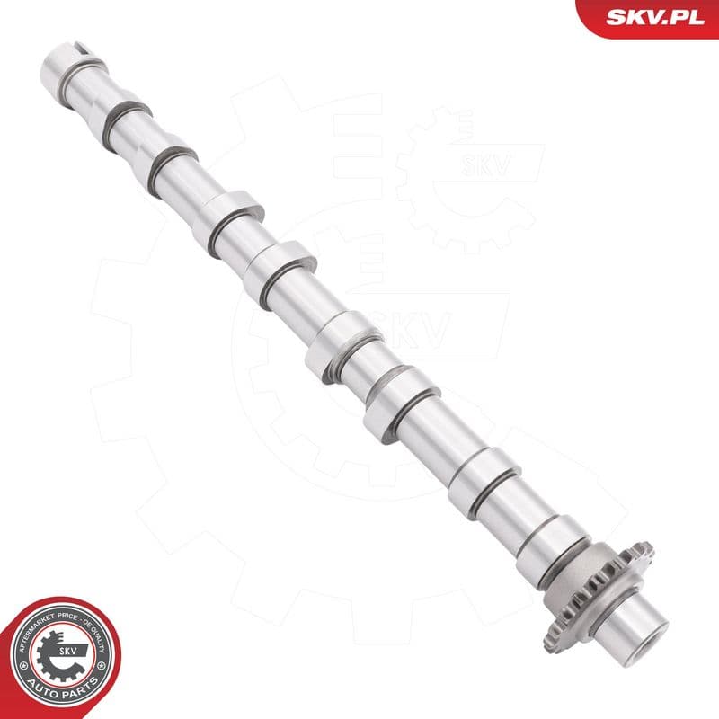 Ax cu came ESEN SKV 80SKV003