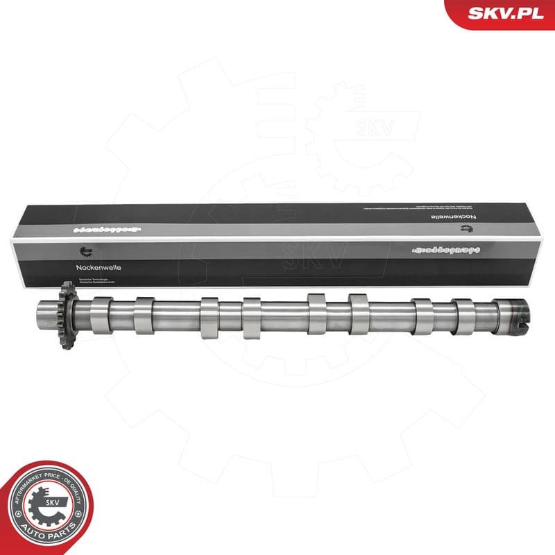 Ax cu came ESEN SKV 80SKV017