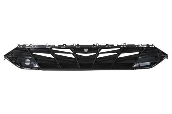 Grila radiator BLIC 6502-07-3174996P