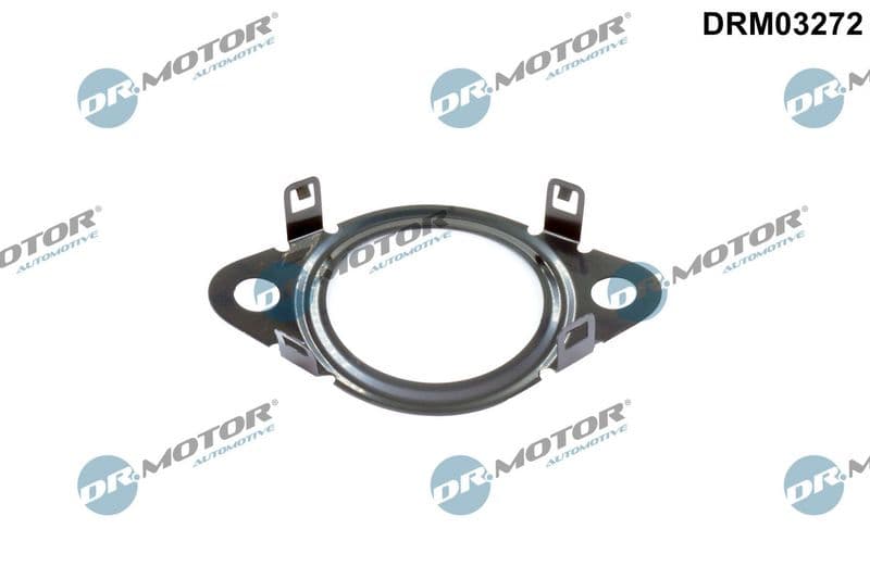 Garnitura, conducta supapa-AGR DRM DRM03272
