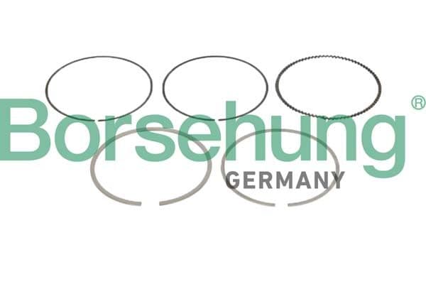 Set segmenti piston BORSEHUNG B10361