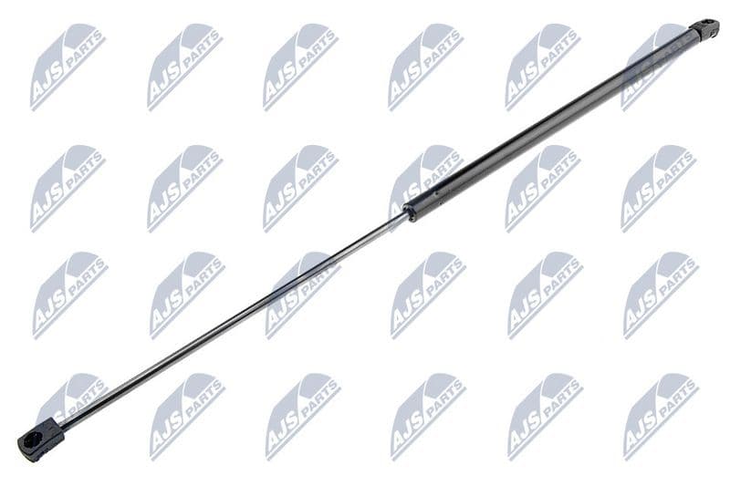 Amortizor capota NTY AE-WW-029