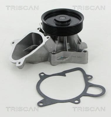 Pompă de apă, răcire motor TRISCAN 8600 11030