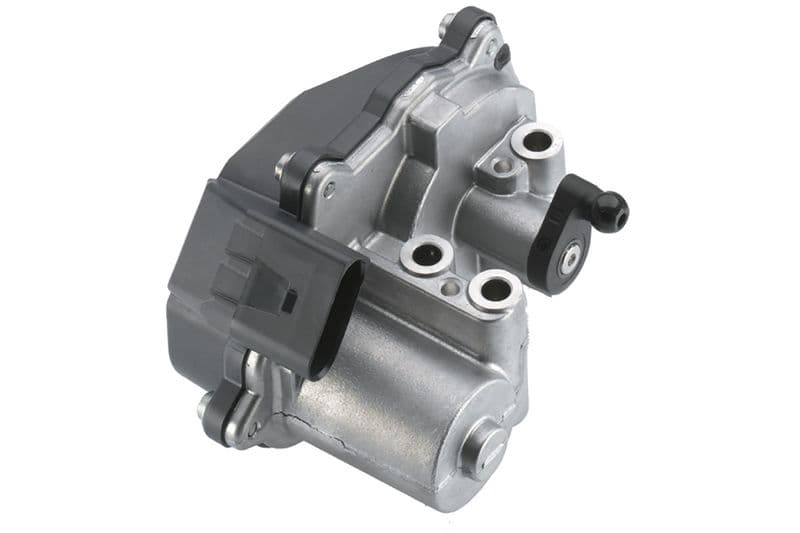 Element reglaj, clapeta comutare (galerie admisie) Continental/VDO A2C59513834