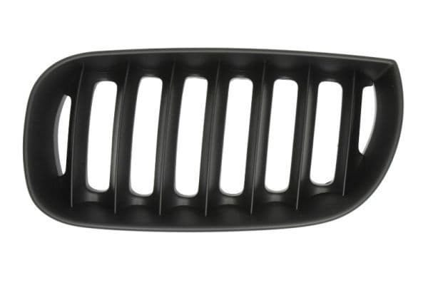 Grila radiator BLIC 6502-07-0093995P