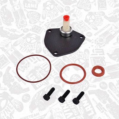 Set reparatie, pompa vacuum (Siste frana) ET ENGINETEAM TM0027